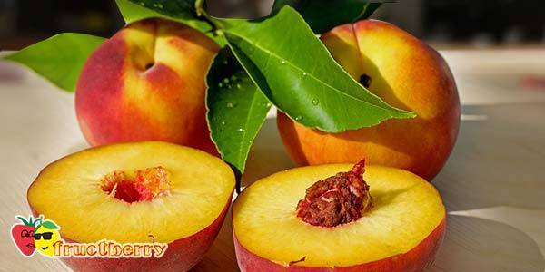 Польза и вред персиков для здоровья организма