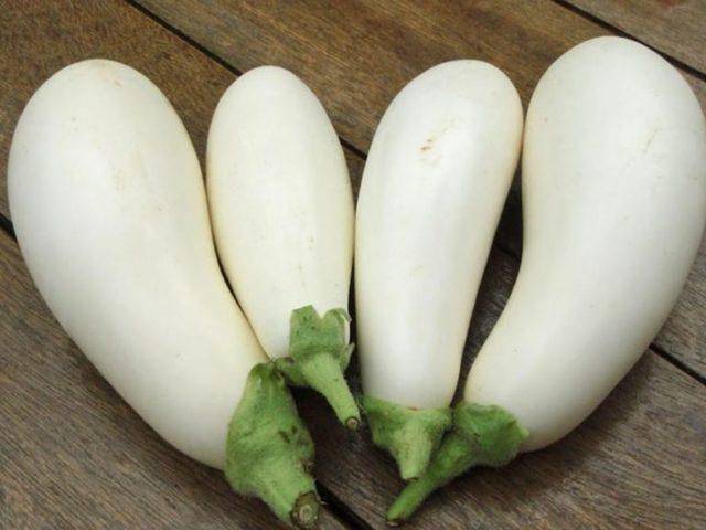 Белые баклажаны: популярные необычные сорта и гибриды