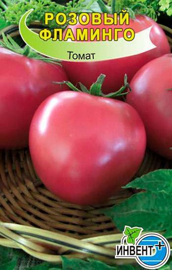 Сорт томатов розовый фламинго: важные особенности и опыт выращивания