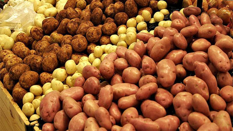 Мифы о картофеле, или какая картошка опасна для здоровья?