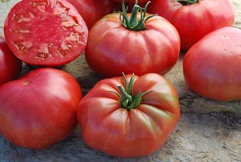 Лучшие сорта гигантских томатов [описание, особенности, фото и видео]
