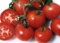 Сорта томатов с картофельным листом: список