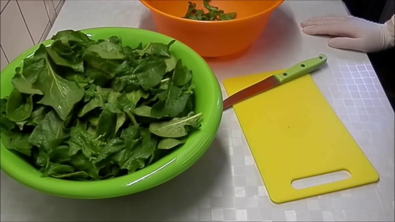 Срок и условия хранения шпината (в холодильнике, на зиму)