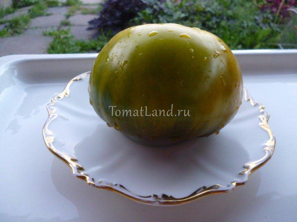 Сорт томата медовый