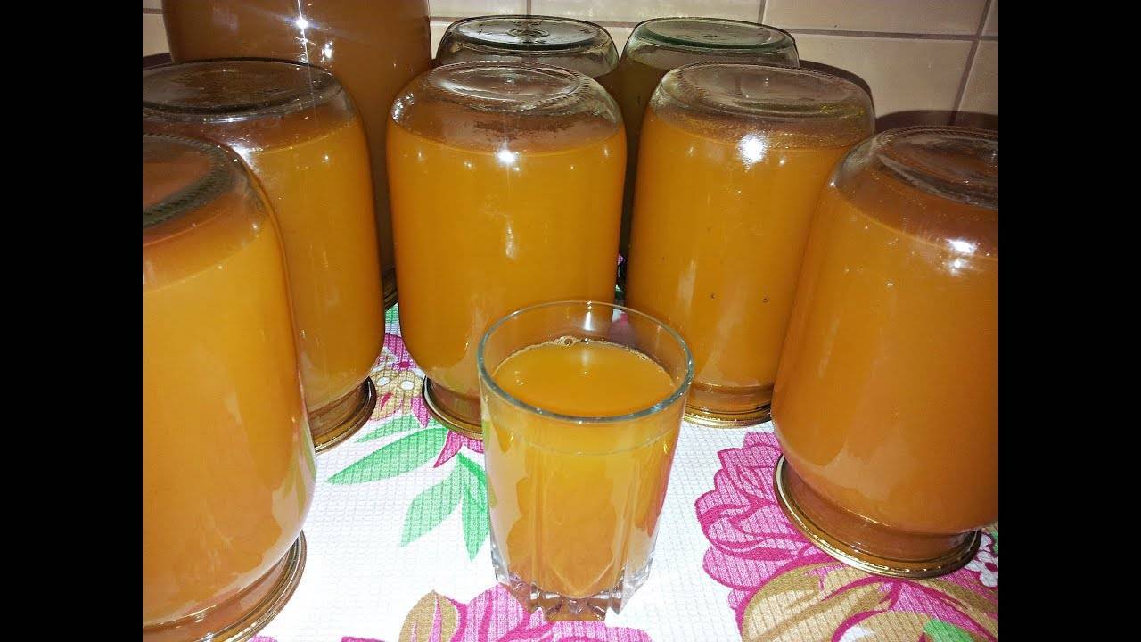 Рецепт яблочно-морковного сока на зиму в домашних условиях через соковыжималку