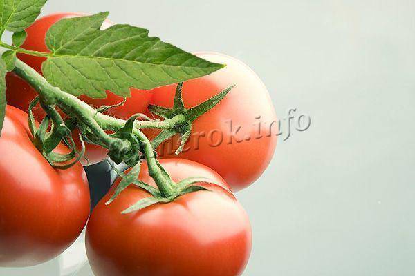 Томаты «бабушкин секрет» для любителей крупных помидоров