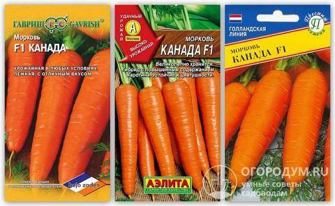 Морковь сорта канада f1: овощ для тяжелого грунта. описание и характеристика