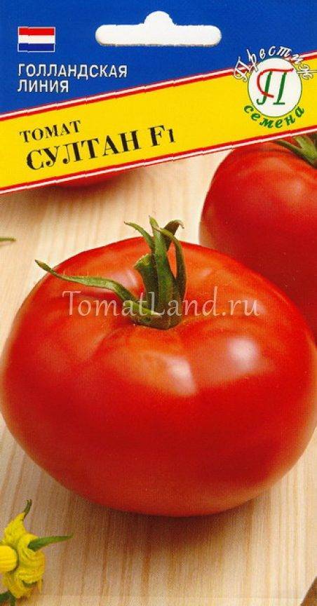 Описание сорта томатов Султан и особенности ухода