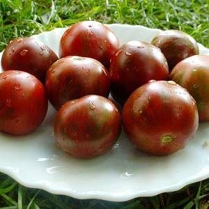Ещё один тёмный сорт томата — «шоколадное чудо», описание салатного помидора