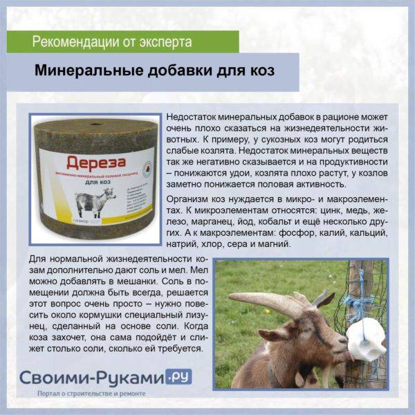 Как определить у коз недостаток витаминов, с какого времени давать и дозы