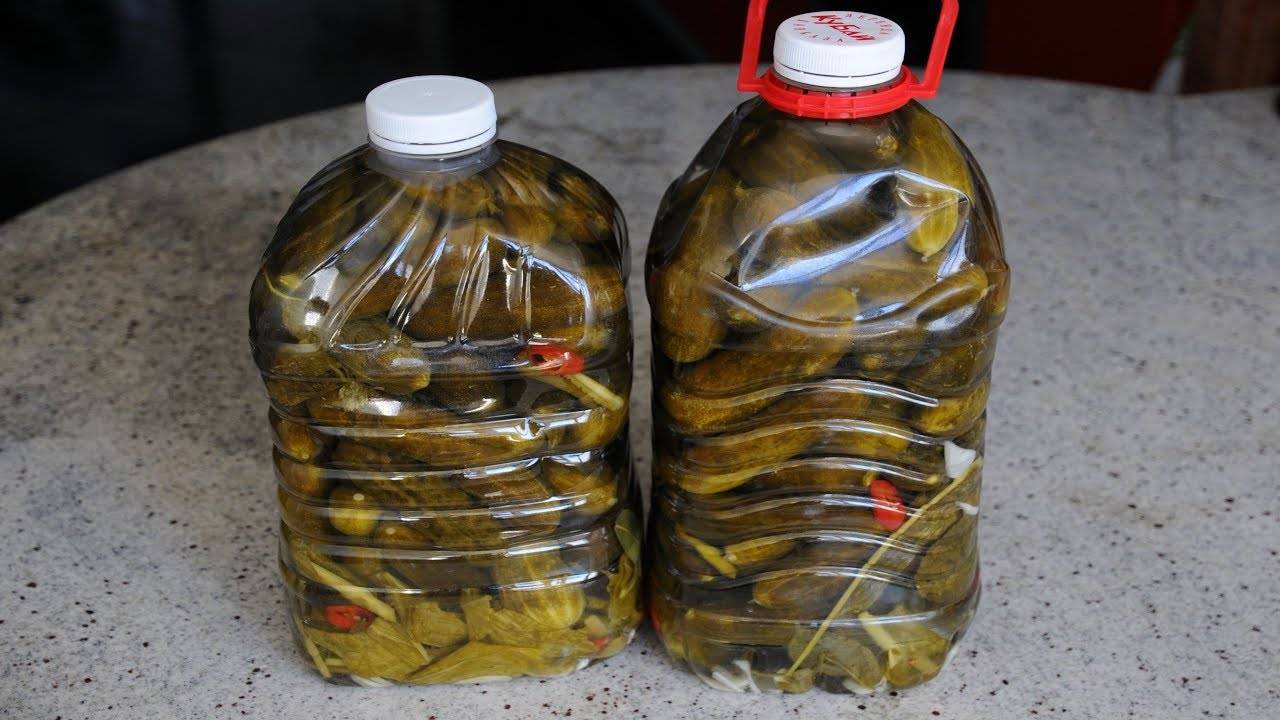 Пошаговые рецепты соленых огурцов в пластиковых бутылках на зиму, хранение