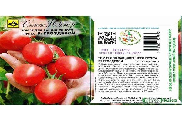 Некапризный в уходе и идеально подходящий для засолки томат «французский гроздевой»: обзор сорта и нюансы ухода