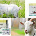 Окситоцин для сельскохозяйственных и домашних животных — инструкция по применению