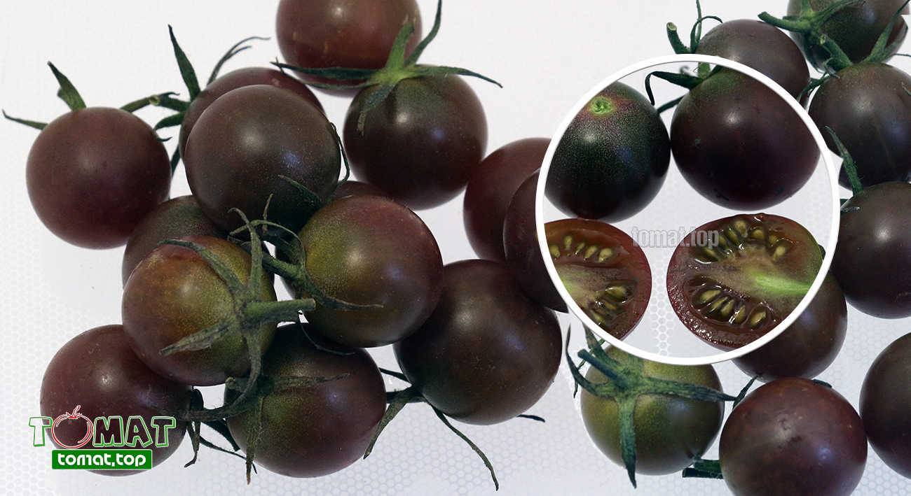 Крупноплодный гибрид с отличным иммунитетом — томат бакинские 622: подробное описание сорта