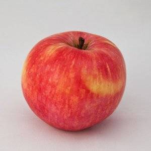 Сортовые особенности яблони услада