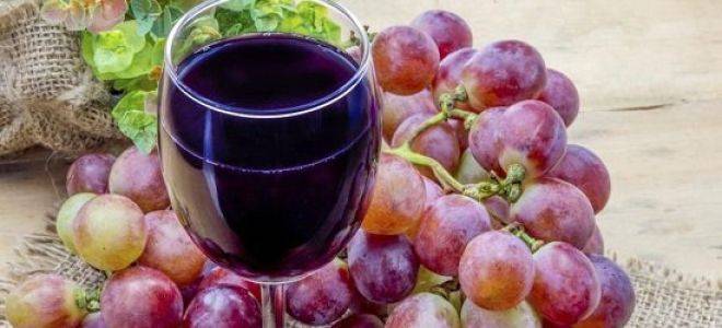 Делаем домашнее вино- методика и полная рекомендация
