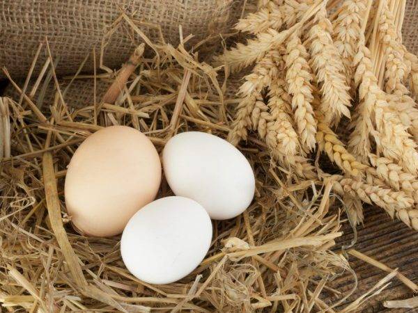 Как правильно решить проблему расклева яиц