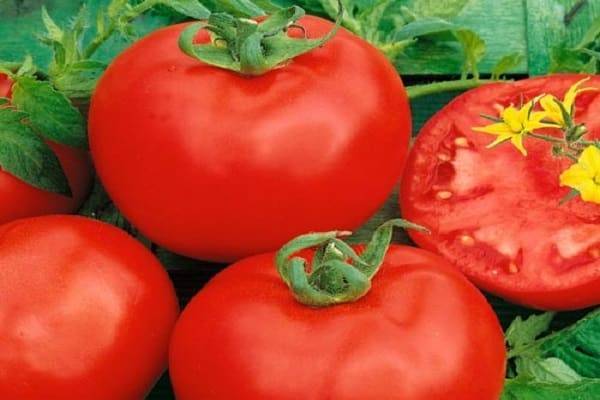 Описание сорта томата Алтайский красный и его характеристики