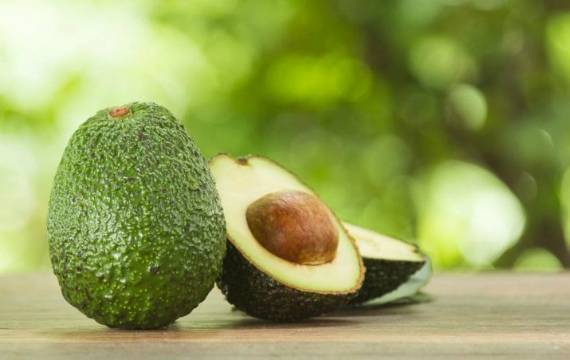 Польза авокадо: полезные свойства и противопоказания к применению. 130 фото + советы как выбрать овощ правильно