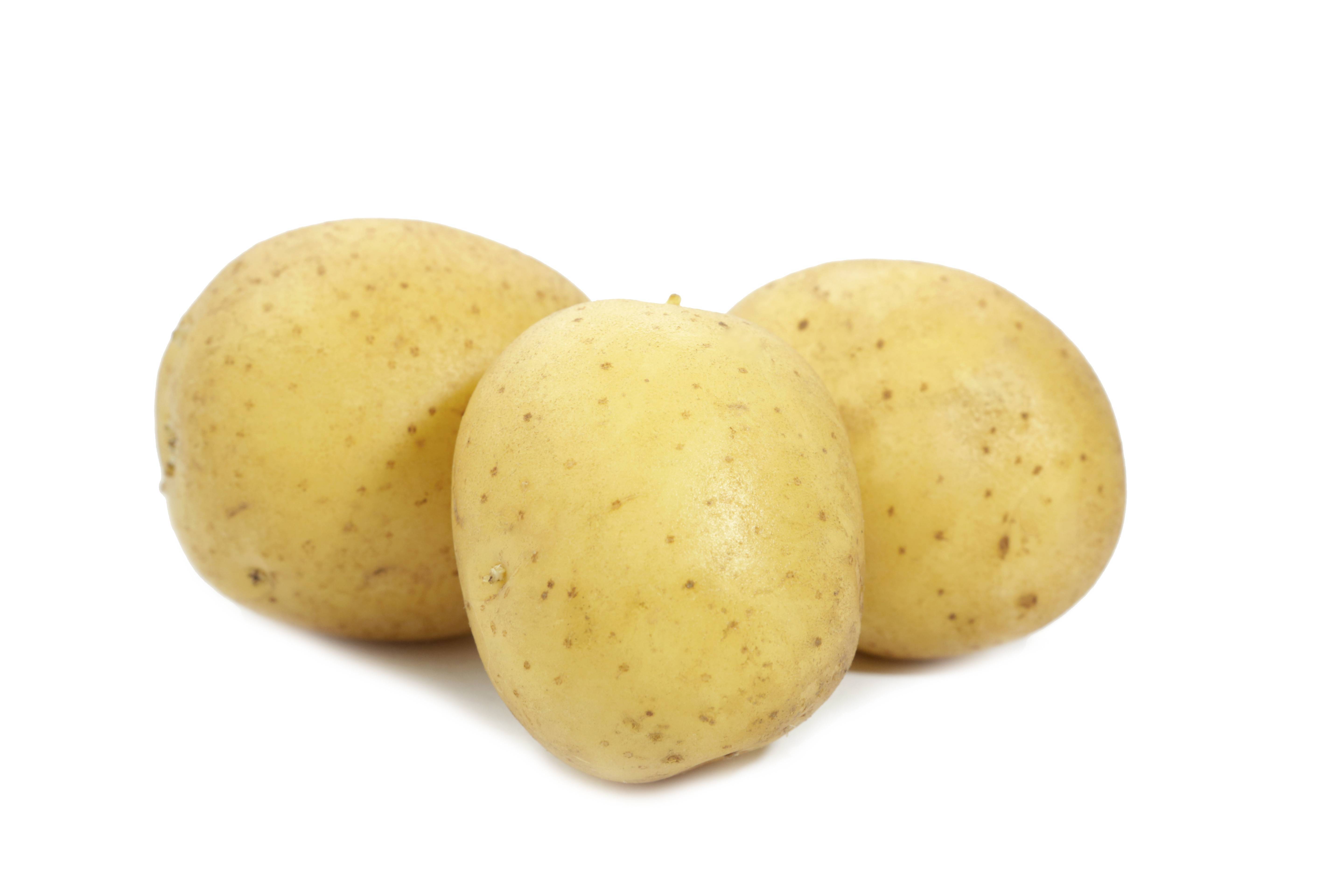 Картофель каратоп: ранний урожай для частного участка. описание, особенности, реальные отзывы
