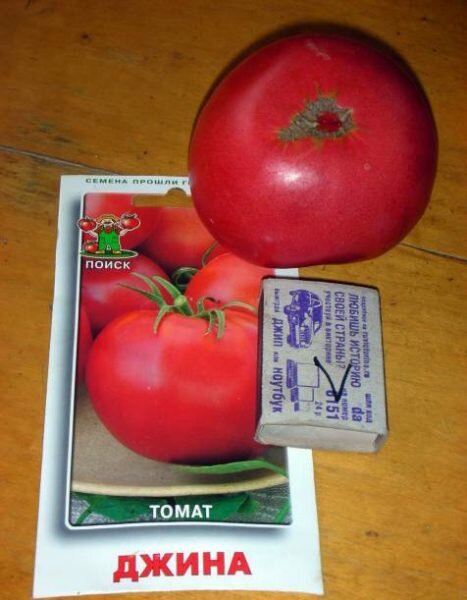 Томат толстый боцман: характеристика и описание сорта, урожайность с фото
