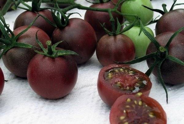 Аппетитные томаты необычного цвета чёрная гроздь: описание сорта, характеристики, фото