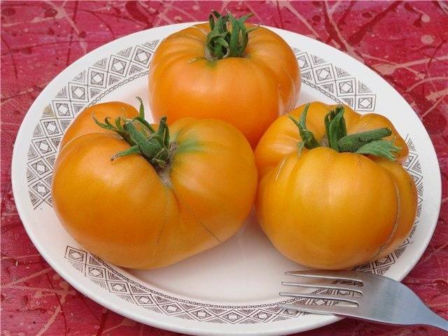 Драгоценный томат: подробное описание сорта золотые купола