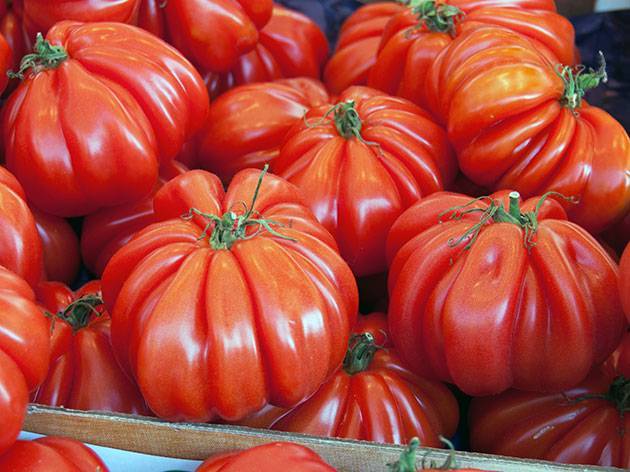 Сорт помидор лотарингская красавица. преимущества и недостатки по сравнению с другими похожими сортами