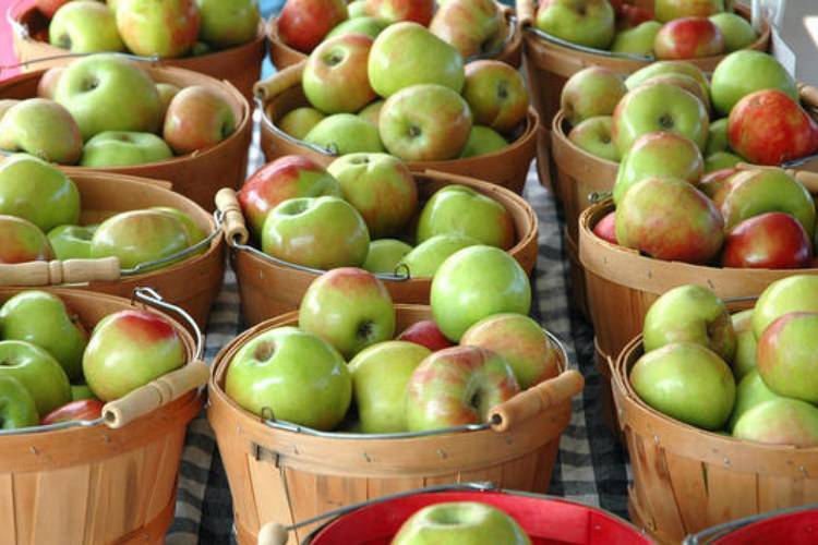 Как правильно хранить яблоки на зиму в домашних условиях, лучшие способы и сроки