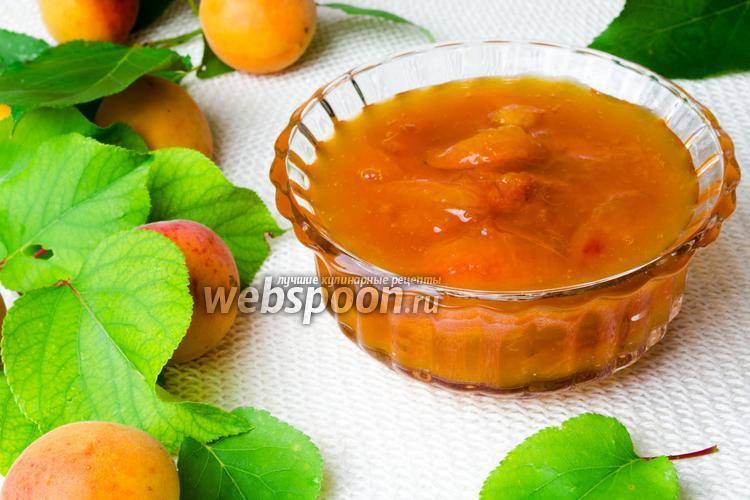 Топ 14 рецептов приготовления консервированных абрикосов на зиму