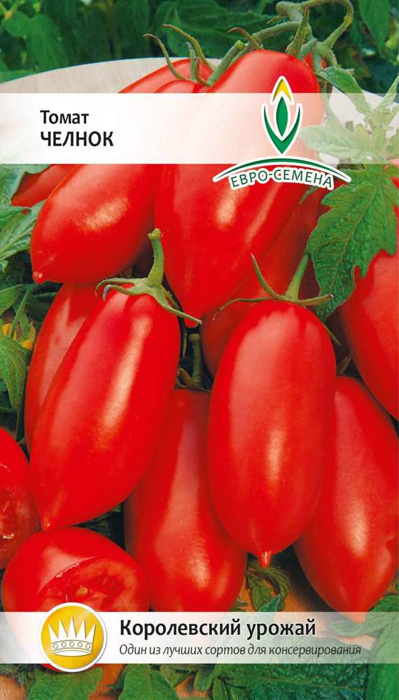 Сорт томата «челнок»: описание, характеристика, посев на рассаду, подкормка, урожайность, фото, видео и самые распространенные болезни томатов