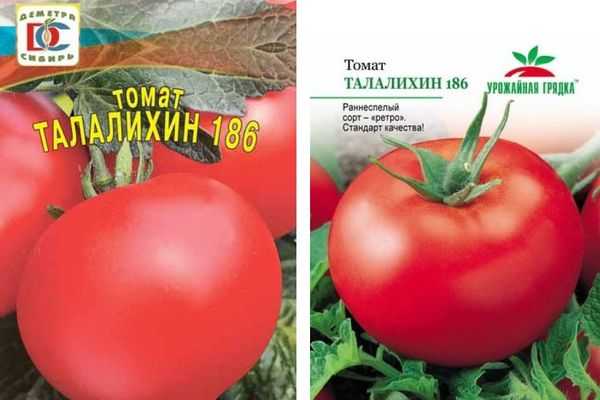 Простой в уходе сорт с медовыми плодами — томат турмалин: отзывы и описание