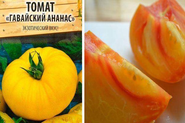 Томат гавайский ананас — описание и характеристика сорта