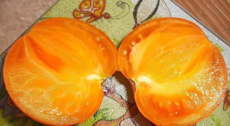 Томат апельсин: характеристика и описание сорта, урожайность с фото