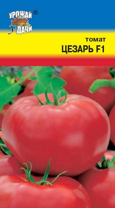 Характеристика и описание сорта томата амулет, его урожайность