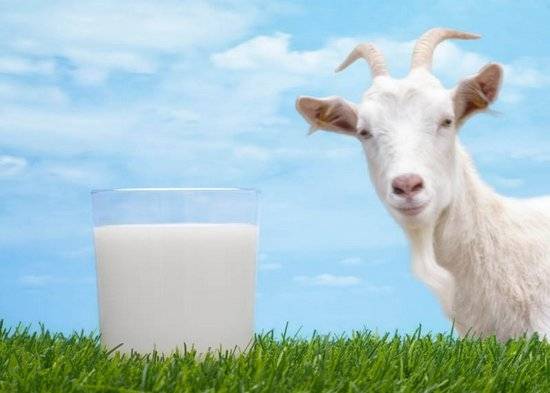 Как развести сухое молоко