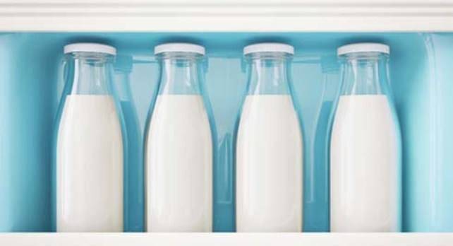 Козье молоко для грудничка: полезные свойства, сроки и особенности введения в рацион