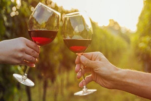 Полезные свойства вина: противопоказания, польза и вред