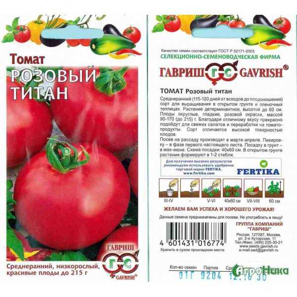 Проверенный временем томат «титан» для выращивания в открытом грунте