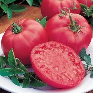 Биг биф: описание сорта томата, характеристики помидоров, посев