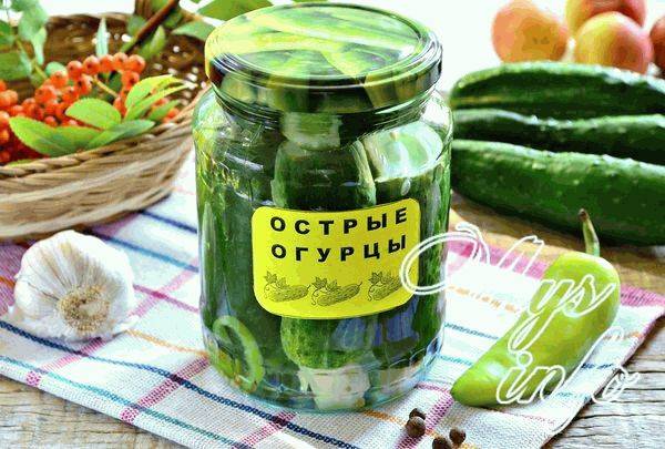 Лучшие рецепты хрустящих маринованных огурцов с острым перцем на зиму