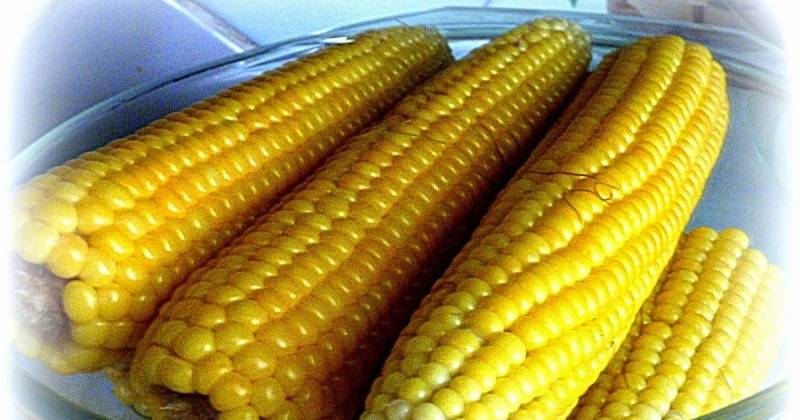 Как хранить кукурузу в домашних условиях: лучшие и эффективные способы