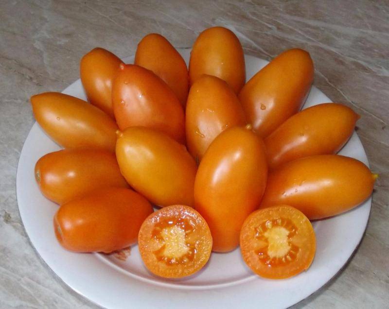 Томат пасхальное яйцо: фото и описание сорта, отзывы об его урожайности