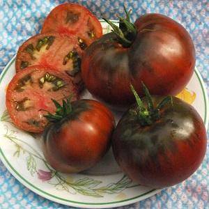Особенности выращивания и ухода за томатом «бизон черный»