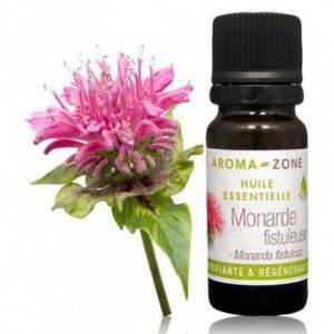Что за растение монарда: лечебные свойства цветка и противопоказания, рецепты