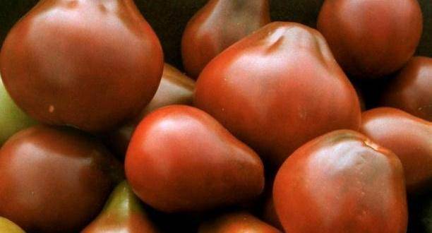 Описание сорта томата Груша оранжевая, его характеристика и урожайность