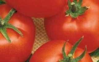 Как вырастить помидоры черри блосэм
