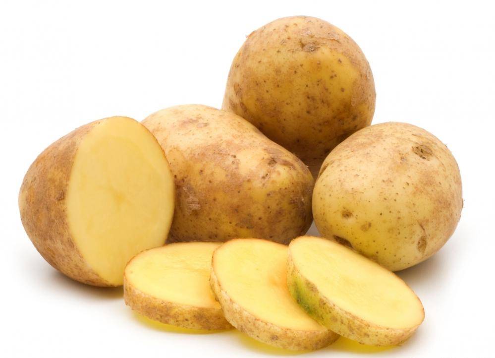 Картофель сорта гала: как вырастить и получить хороший урожай
