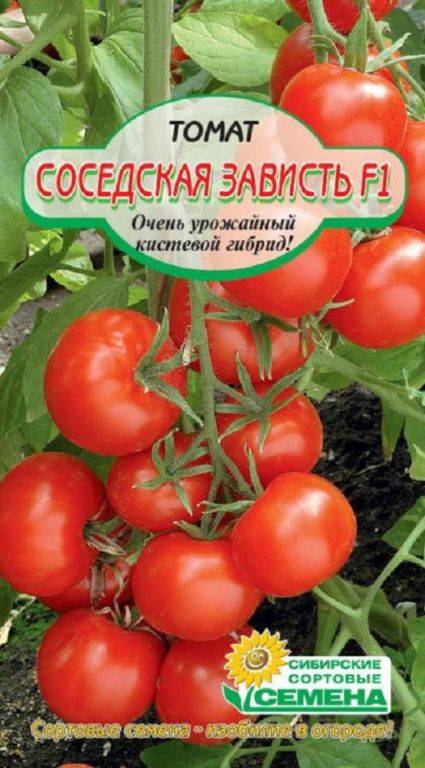 Характеристика томата кистевой f1 и выращивание гибридного сорта
