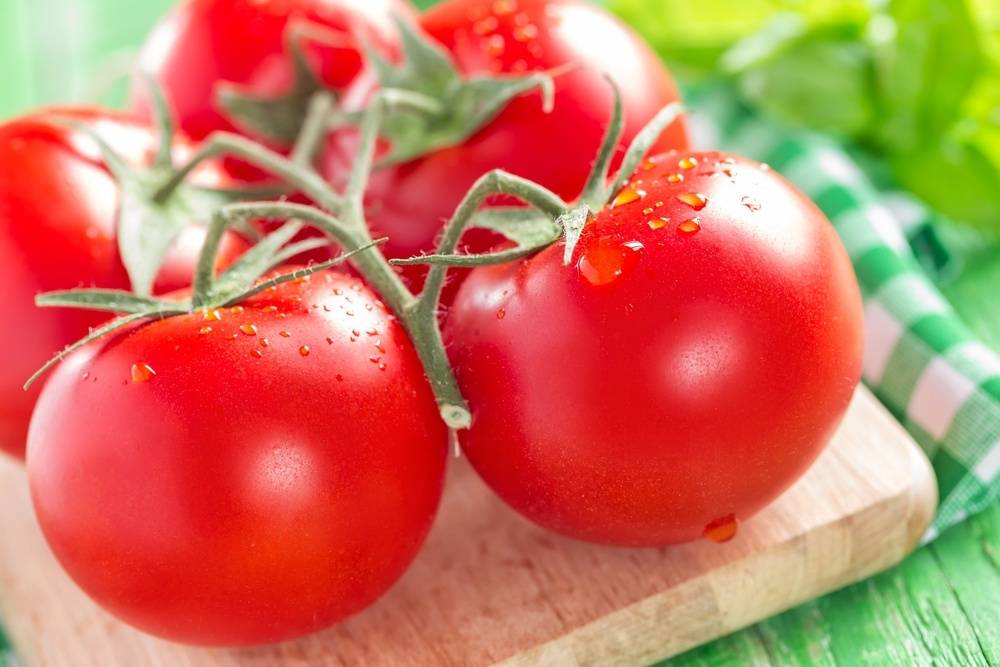 Сбор раннего урожая томатов «северенок f1» без хлопот